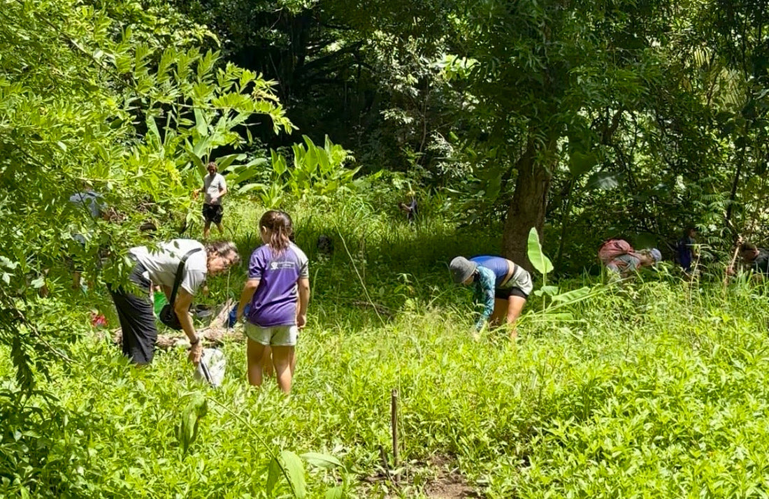 Sembrando Futuro en Uvita: El Impacto Inspirador de la Organización Grandiosa
