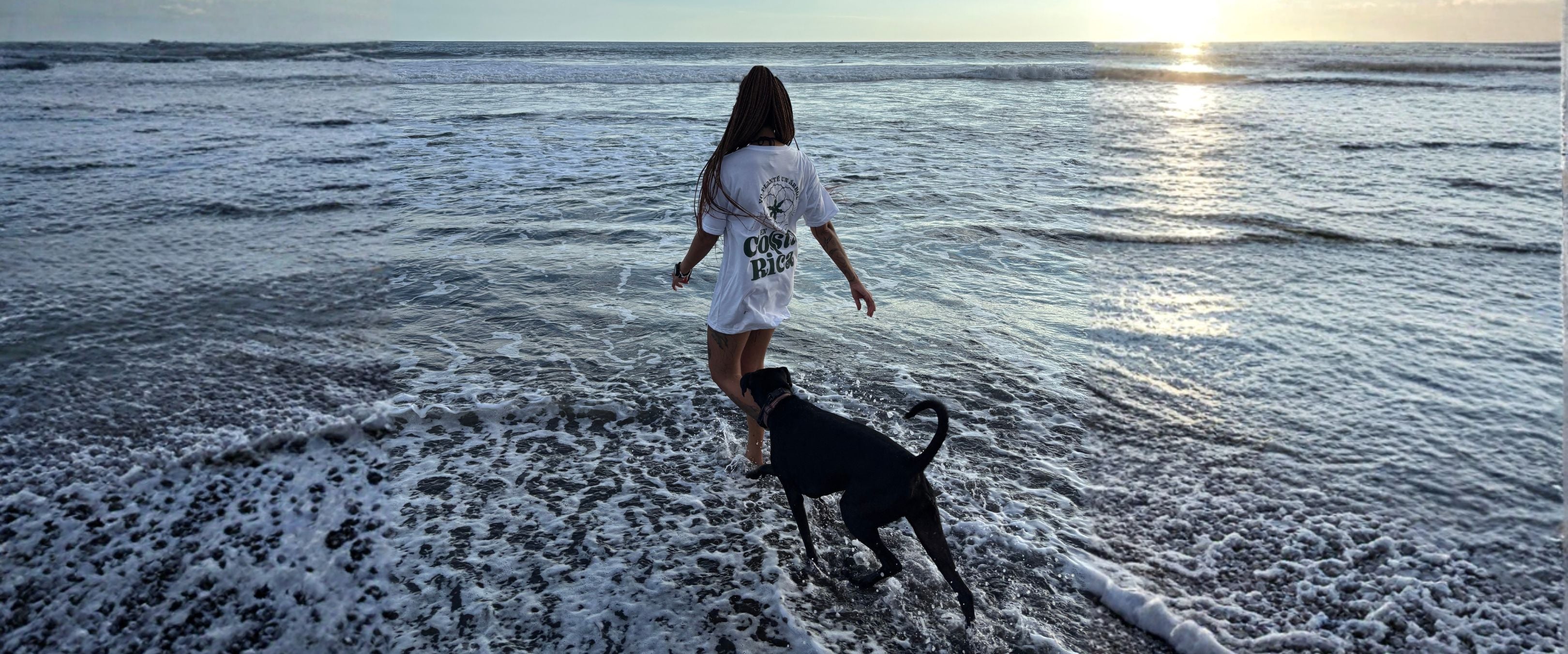 Las mujeres detrás de Fauna Latina