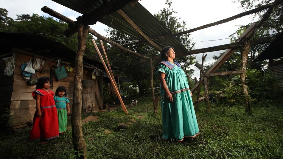 Honrar nuestras raíces también es proteger la naturaleza: la sabiduría de los pueblos indígenas de Latinoamérica